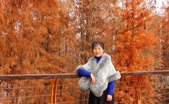 缘分五月在线观看